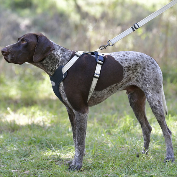 Weatherbeeta Explorer Hundegeschirr 101819800 - Navy